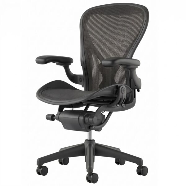 Home aeron classic graphite another sup 5